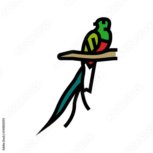 quetzal bird exotic color icon vector. quetzal bird exotic sign. isolated symbol illustration