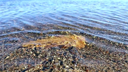 Close-up video. The wave rolls out onto the sandy shore with stones. High-quality shooting in Full HD.