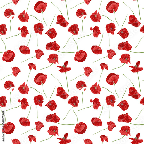 seamless pattern with red poppy flowers, vector drawing wild plants at white background, floral design elements , hand drawn botanical illustration