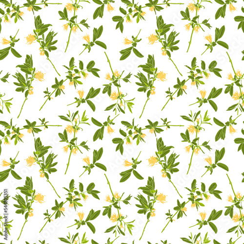 seamless pattern with spring flowerng honeysuckle, vector drawing branches with yellow flowers and green leaves at white background , hand drawn illustration