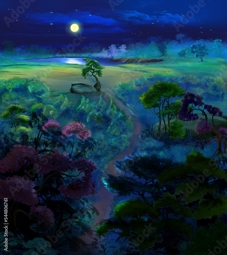 Moonlit Summer Night in a forest illustration © multipedia