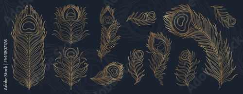Peacock feather vintage style set. Art deco, nouveau 1920-1930 design.