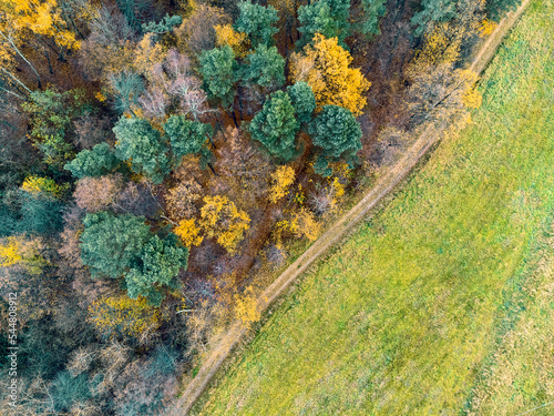 Obraz na płótnie Aerial view green pine forest in deforestation area landscape. Top view of european nature from high attitude in autumn season. Drone view. Bird's eye view a logging zone cuts through forest. w salonie