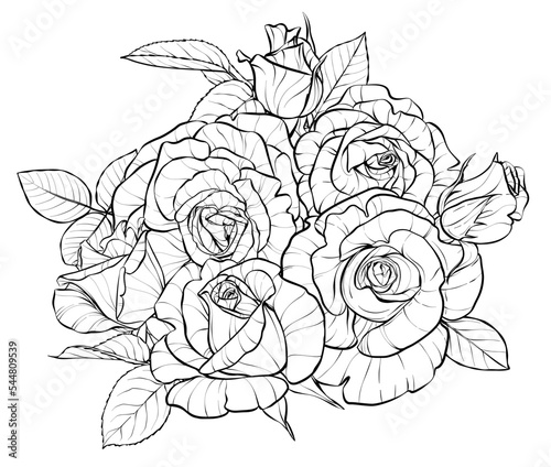 Flower composition, a bouquet. Large rosebuds. Illustration sketch in black and white style. Vector. Antistress coloring.