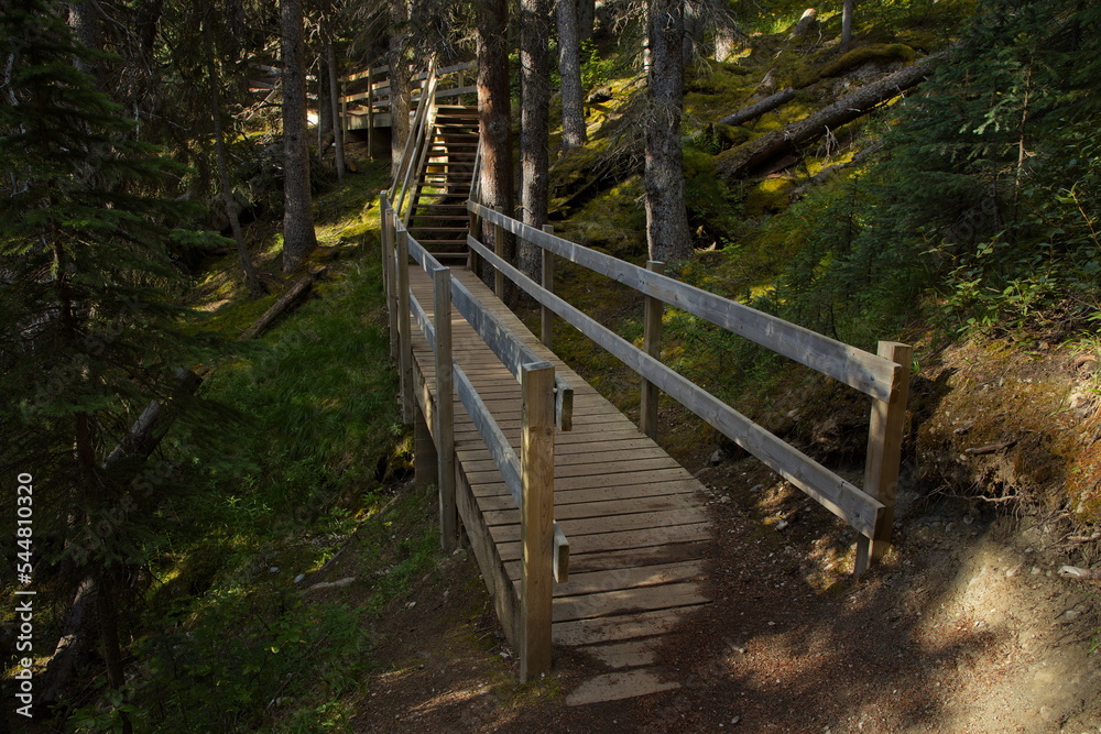 Wooden stairs on hiking track to Wilcox Pass in Jasper National Park,Alberta,Canada,North America
Wooden stairs on hiking track to Wilcox Pass in Jasper National Park,Alberta,Canada,North America