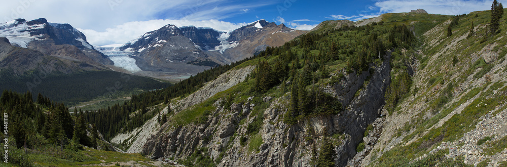 Landscape at hiking track to Wilcox Pass in Jasper National Park,Alberta,Canada,North America
