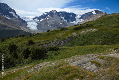 Landscape at hiking track to Wilcox Pass in Jasper National Park,Alberta,Canada,North America 