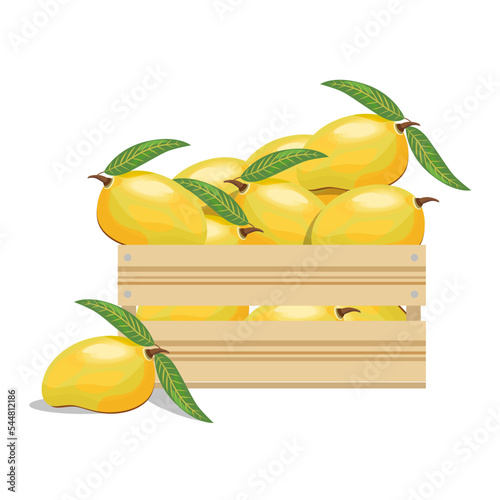 Ripe mango fruits in a wooden box, isolated on a white background.Vector illustration for supermarket designs,labels.