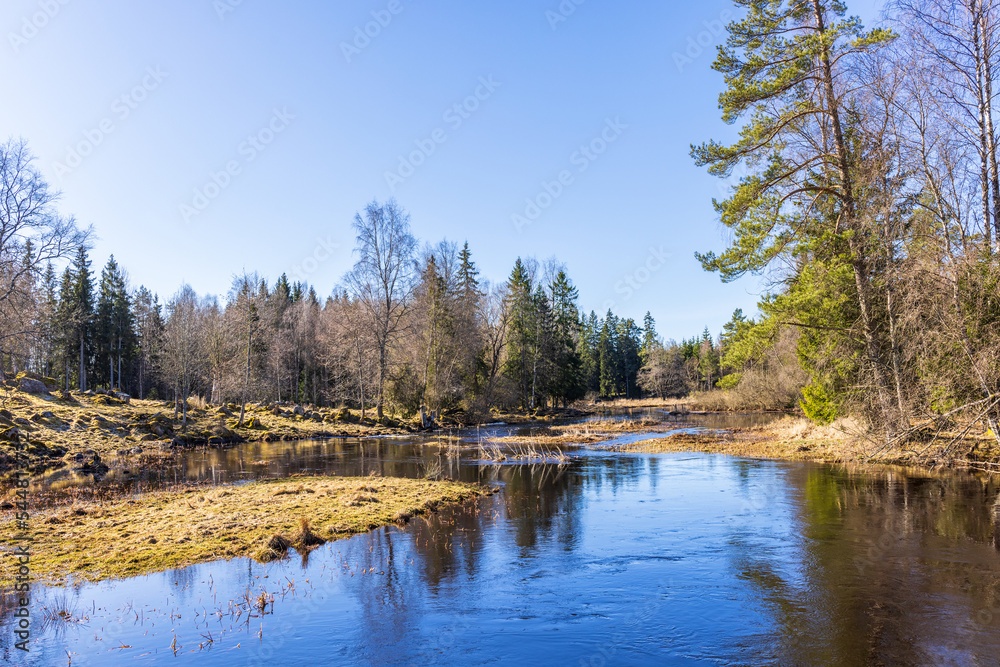 River in a beautiful spring landscape