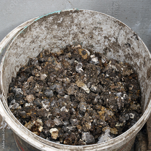 Bird or chicken manure as fertilizer in a bucket
