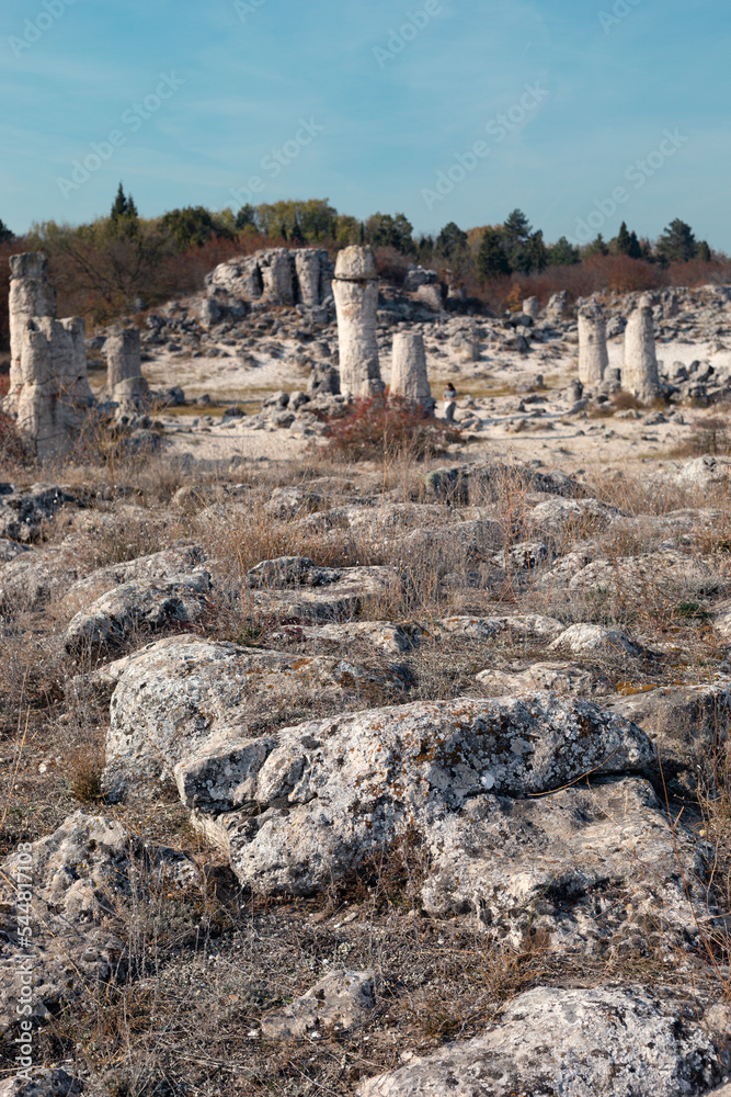 Stone forest in Bulgaria. Natural attraction in a small desert. Artifact of an ancient geological phenomenon.