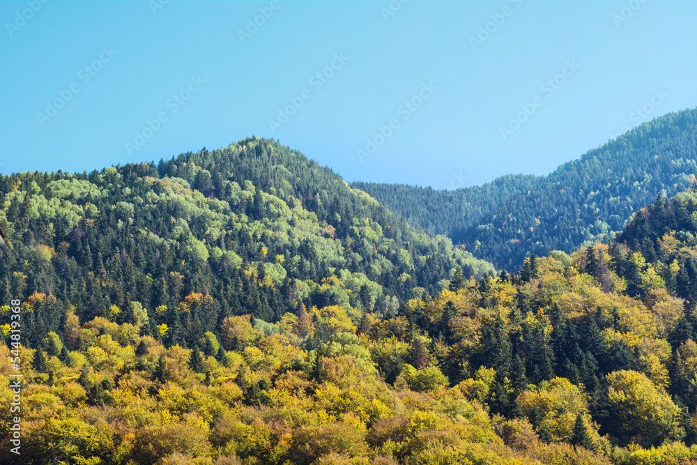 Autumn  Mountain Landscape with Colorful Trees . Balkan Mountains , Bulgaria 