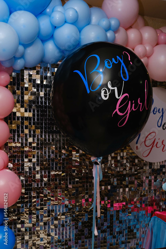 Gender Party