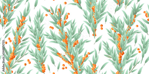 Branches of overgrown sea buckthorn with ripe fruits. Garden plant with edible crop. Seamless composition. Branch with foliage and leaves. Isolated on white background. Vector