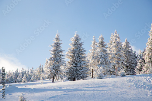 amazing winter landscape with snowy fir trees in the mountains © Melinda Nagy