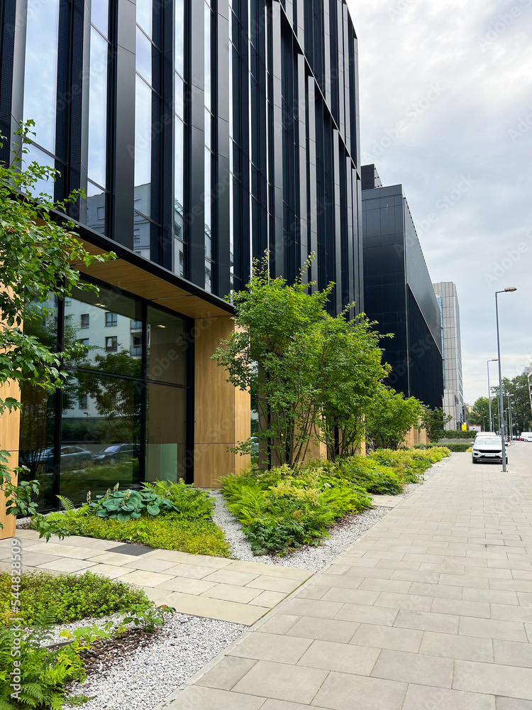 City street with beautiful buildings, pavement and green plants City street with beautiful buildings, pavement and green plants