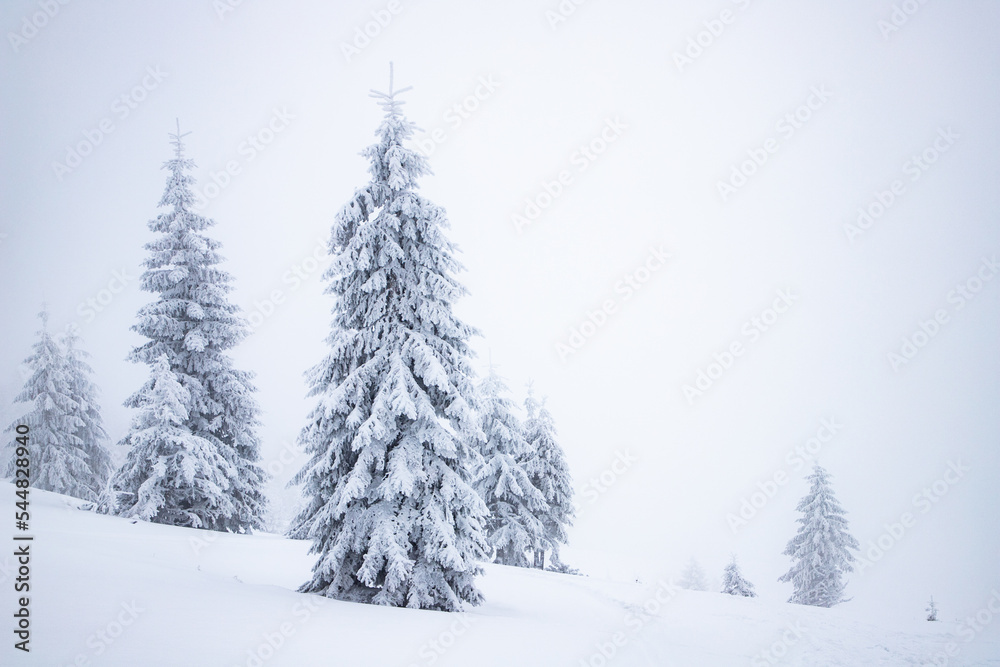 magical frozen winter landscape with snow covered fir trees