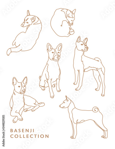 Basenji Dog Outline Illustrations in Various Poses
