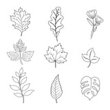 A set of leaf outline vector silhouettes isolated on a white background