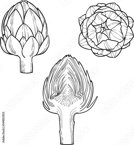 Artichoke Engraving sketch style hand drawn vector illustration. Organic vegetarian product. isolated on white background.