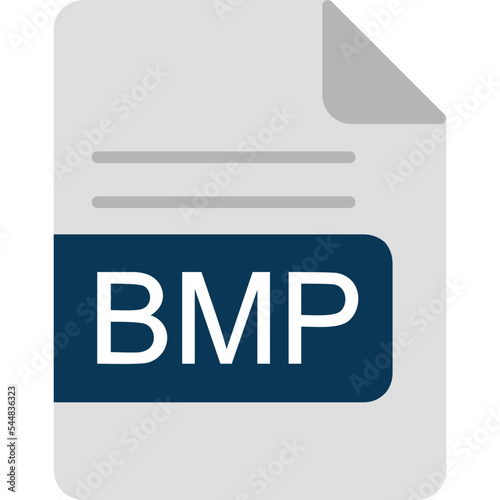 BMP File Format Icon photo