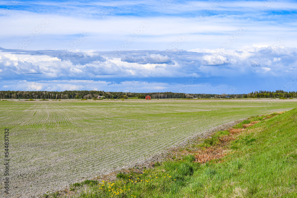 Obraz premium Farm landscape