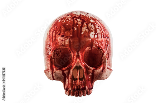 Canvastavla Human skull in blood isolated on white background with clipping path