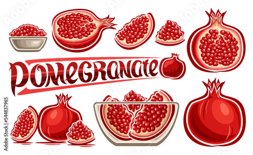 Vector Pomegranate Set, horizontal poster with lot collection of cut out illustrations fruity pomegranate still life in glass plate, group of many variety chopped ripe fruits and red word pomegranate