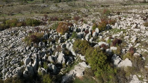 The field of Idoles seen from the side photo