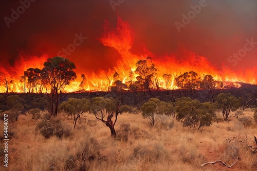 Canvas Print Bushfire apocalypse in forest with big destruction background