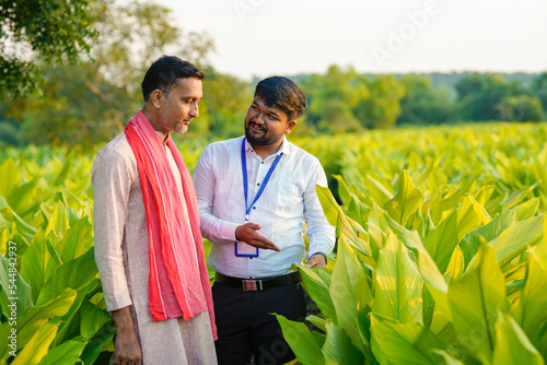Indian farmer with young indian banker or agronomist at green turmeric field.
