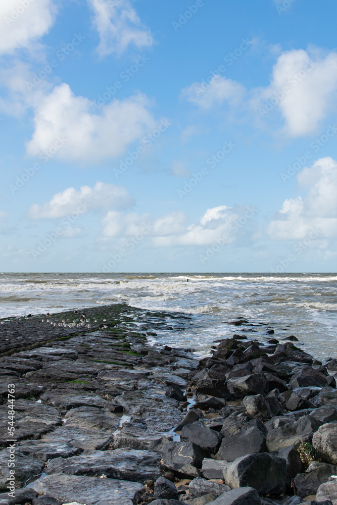 Great dutch seascapes