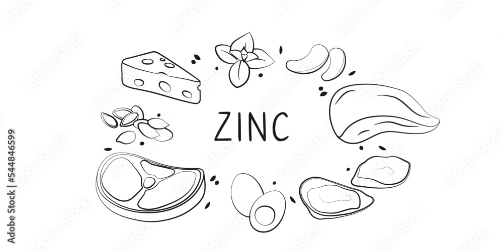 Zinc-containing food. Groups of healthy products containing vitamins and minerals. Set of fruits, vegetables, meats, fish and dairy Zinc-containing food. Groups of healthy products containing vitamins and minerals. Set of fruits, vegetables, meats, fish and dairy