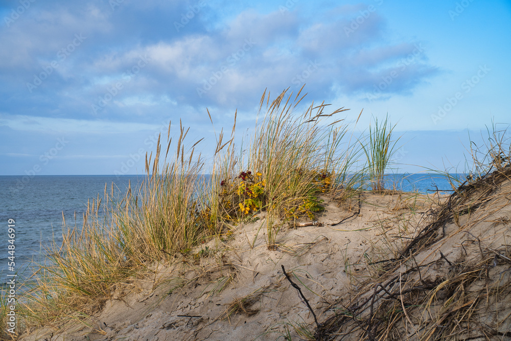 Beach crossing in Denmark by the sea. Dunes, sand water and clouds on the coast Beach crossing in Denmark by the sea. Dunes, sand water and clouds on the coast