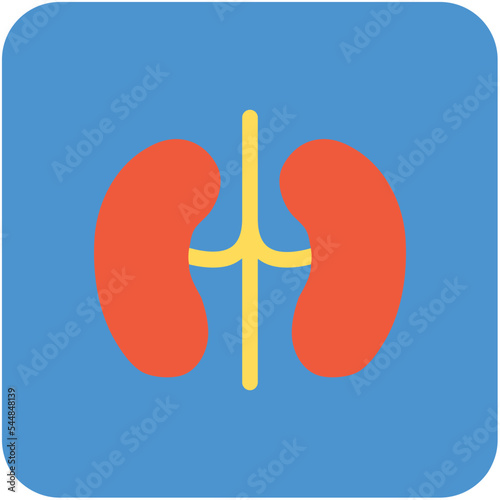 Kidneys Vector Icon