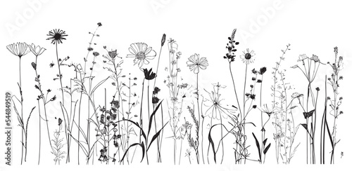 Wildflowers herb hand drawn sketch.Doodle style.Vector illustration