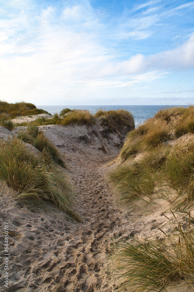 Beach crossing in Denmark by the sea. Dunes, sand water and clouds on the coast