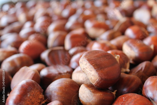 Castagne