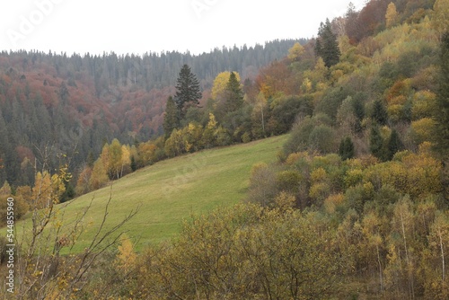 Beautiful landscape with forest in mountains on autumn day