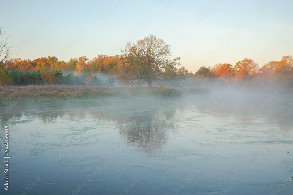 early morning reeds mist fog and water surface on the river