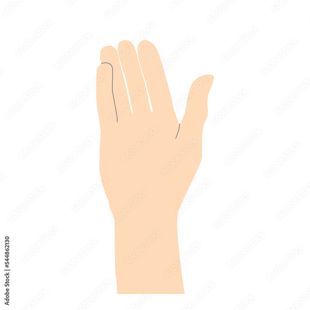Human hand palm greeting beige with lines to emphasize the shape minimalistic, vector isolated on white background. Human hand palm greeting beige with lines to emphasize the shape minimalistic, vector isolated on white background.