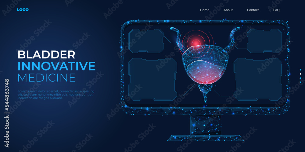 Digital 3d low poly bladder model. Wireframe concept treatment of human ...