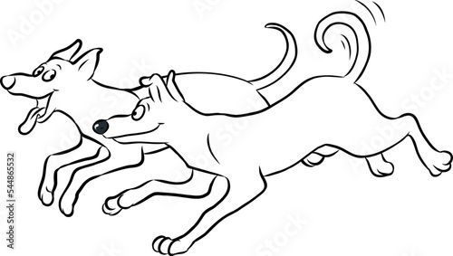 Zwei Hunde rennen und toben fröhlich nebeneinander her