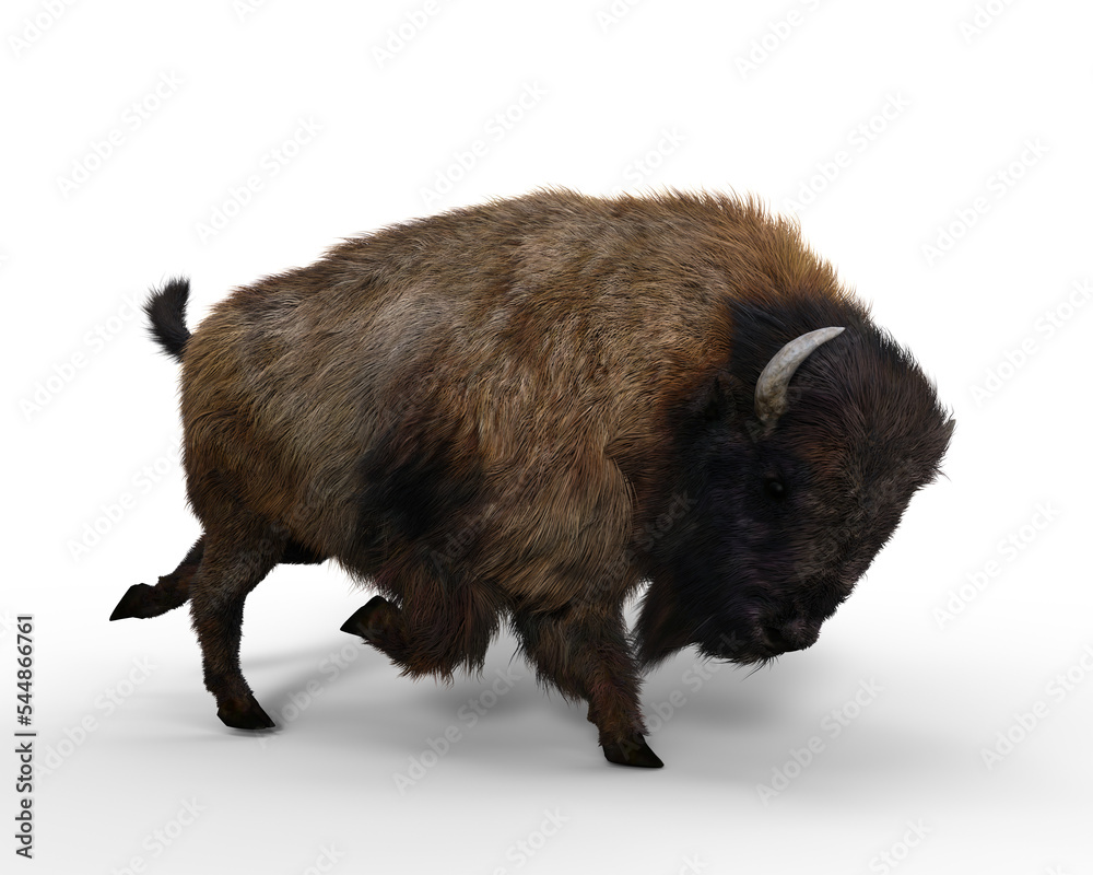 A large Bison in charging pose. 3D rendering isolated on transparent background. A large Bison in charging pose. 3D rendering isolated on transparent background.