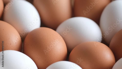 Chicken fresh raw eggs. Chicken egg, rotation shot, Many fresh raw chicken egg 4K