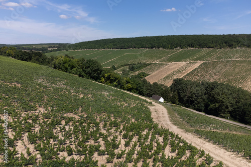 Aerial view on Chablis Grand Cru appellation vineyards with grapes growing on limestone and marl soils  Burdundy  France