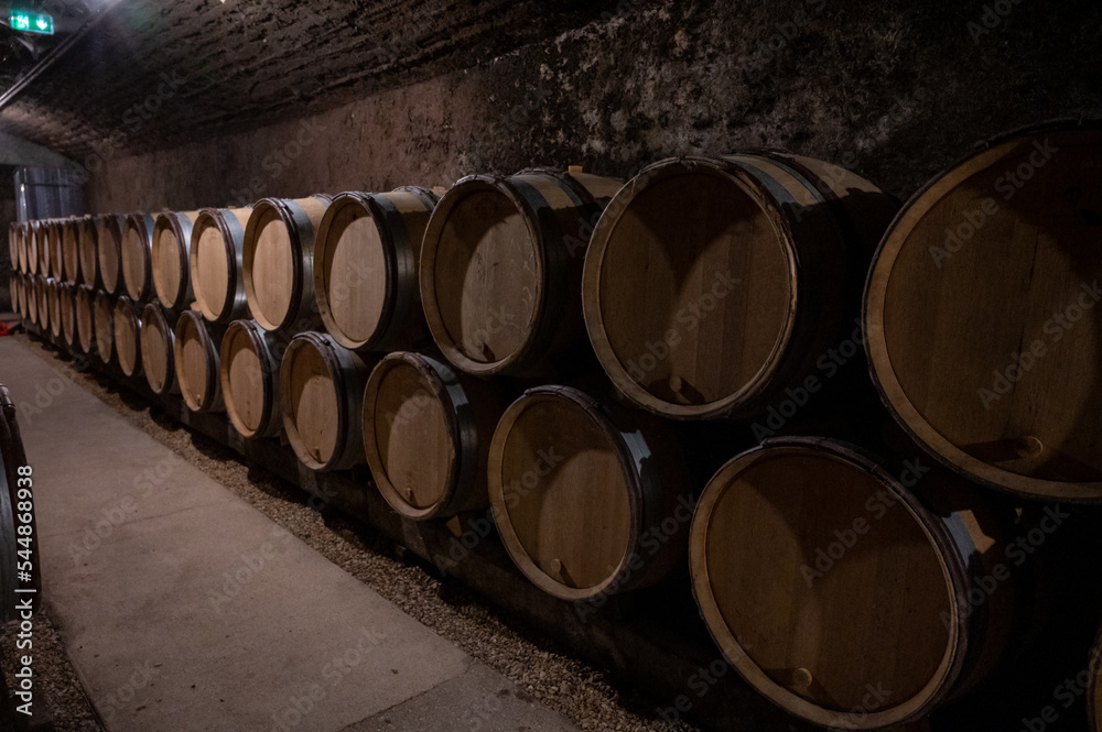 Stages of wine production from fermentation to bottling, visit to wine cellars in Burgundy, France. Aging in wooden barrels.