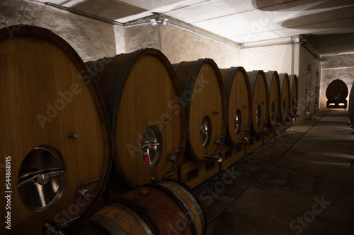 Stages of wine production from fermentation to bottling  visit to wine cellars in Burgundy  France. Aging in wooden barrels.