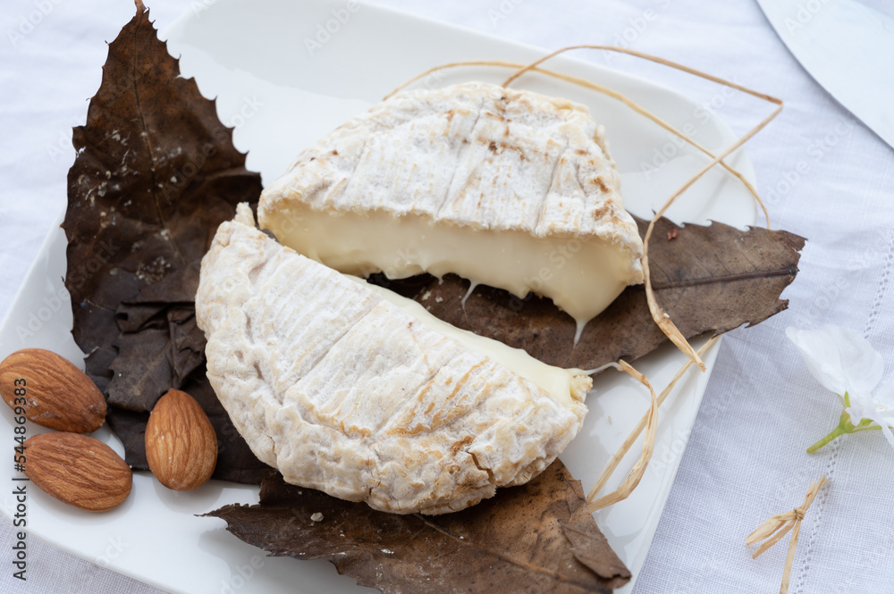 French mountains cheese banon wrapped in chestnut leaves made in Provence from unpasteurised goat milk French mountains cheese banon wrapped in chestnut leaves made in Provence from unpasteurised goat milk
