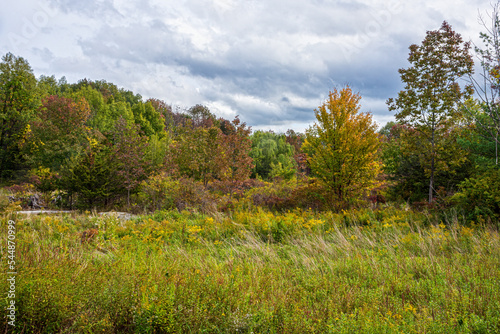 Catskills Field